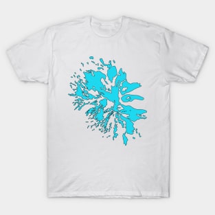 Mount Adams Glaciers T-Shirt